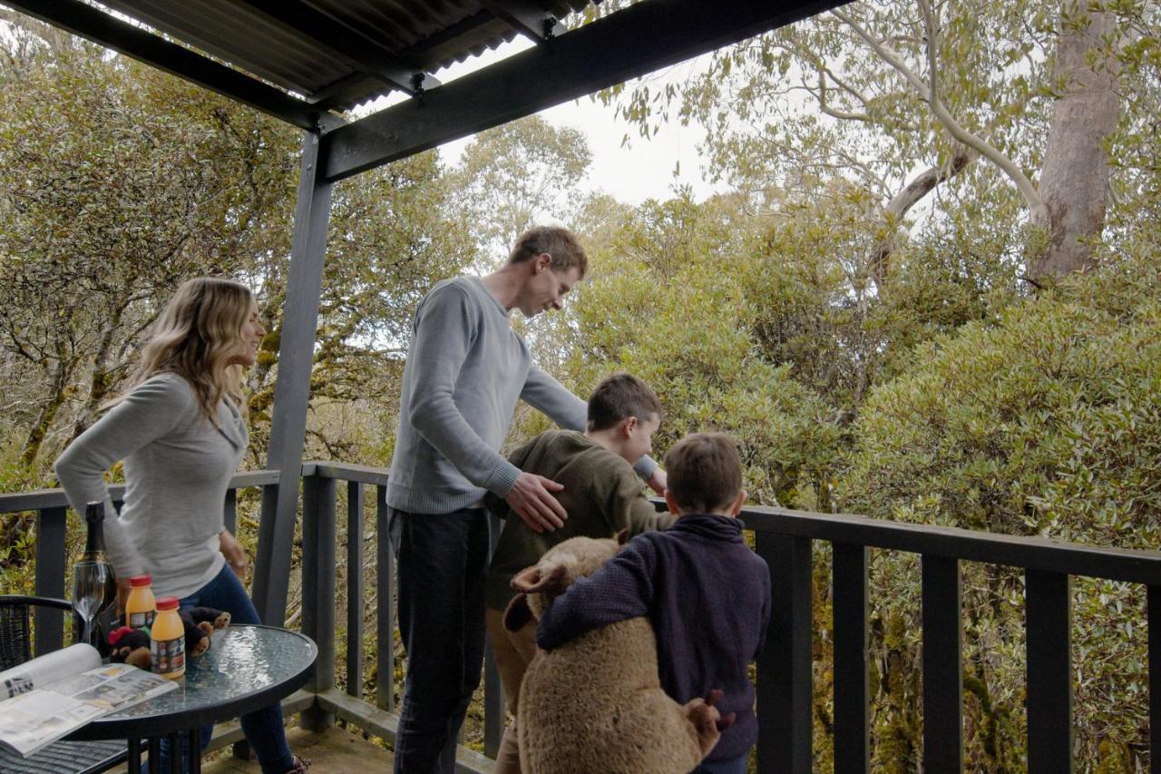 Cradle Mountain Wilderness Village ภายนอก รูปภาพ